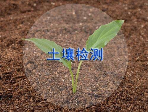 离子色谱仪可用于土壤中氟离子检测 离子色谱仪可用于土壤中氟离子检测