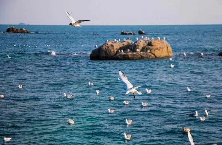 海水常规离子分析 海水常规离子分析