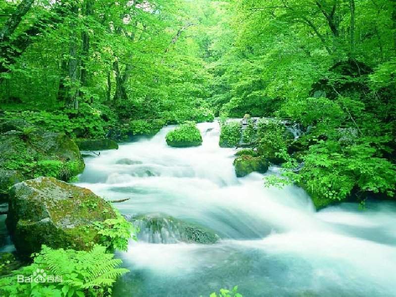 地表水环境监测 地表水环境监测